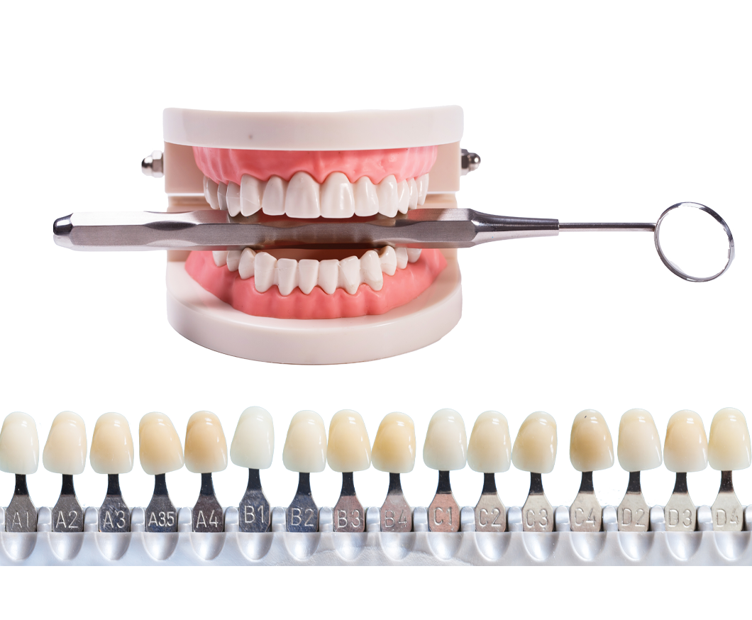 Optimum Dental Protetik Diş Hekimi Aydın